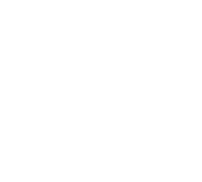 Logo sauver mon palmier